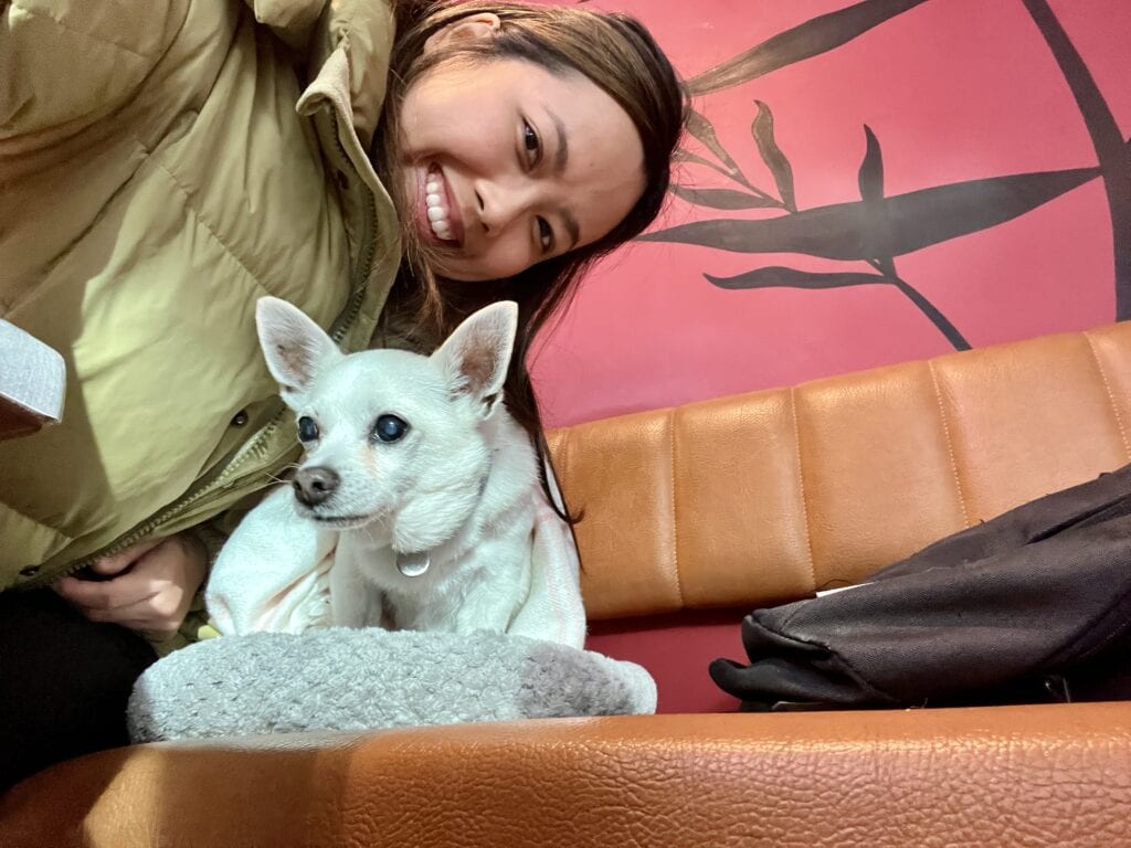 Woman smiling next to a small white dog resting on a cushion on a brown bench inside a restaurant with a pink wall.